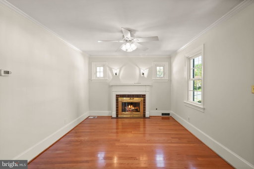 Media Image 3