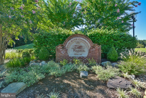 Media Image 2