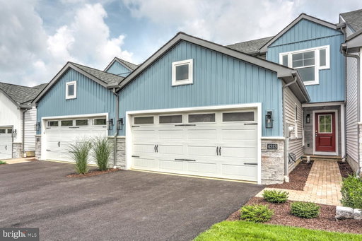 Media Image 3
