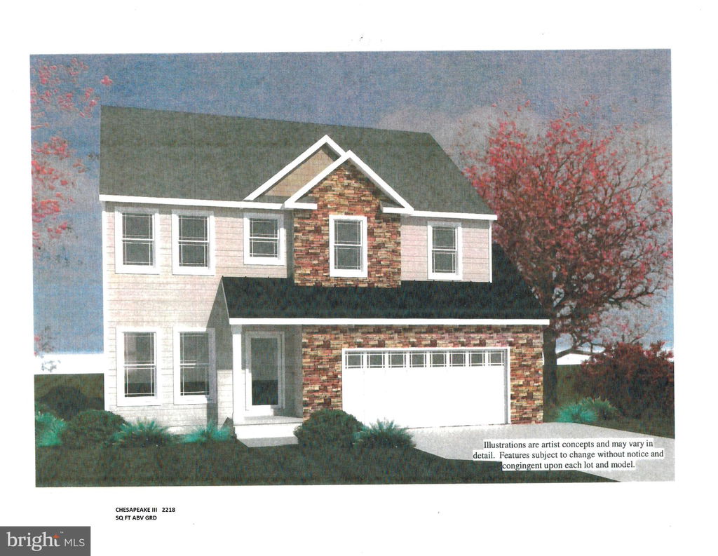 Media Image 1