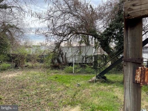 Media Image 3