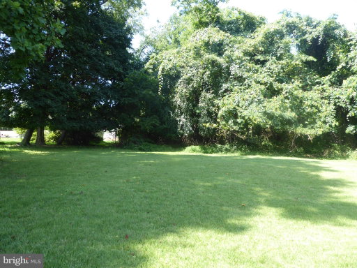 Media Image 3