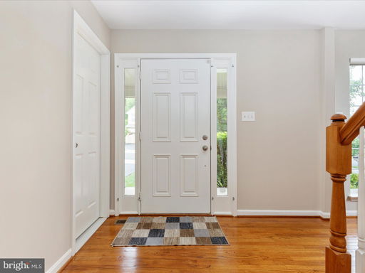 Media Image 3