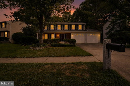 Media Image 2
