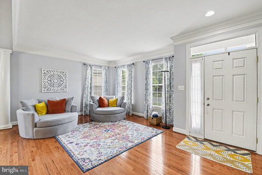 Media Image 3