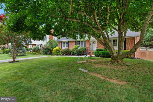 Media Image 3