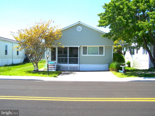 Media Image 2