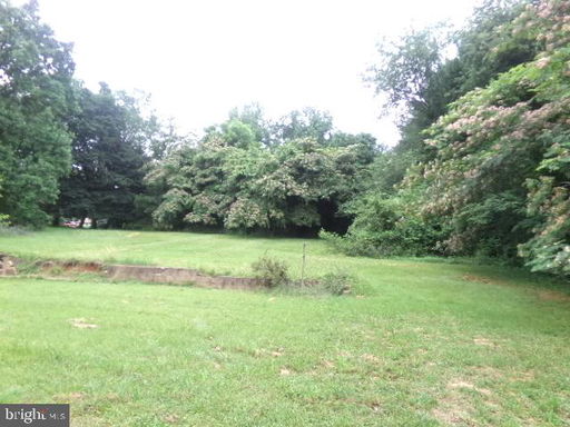 Media Image 3