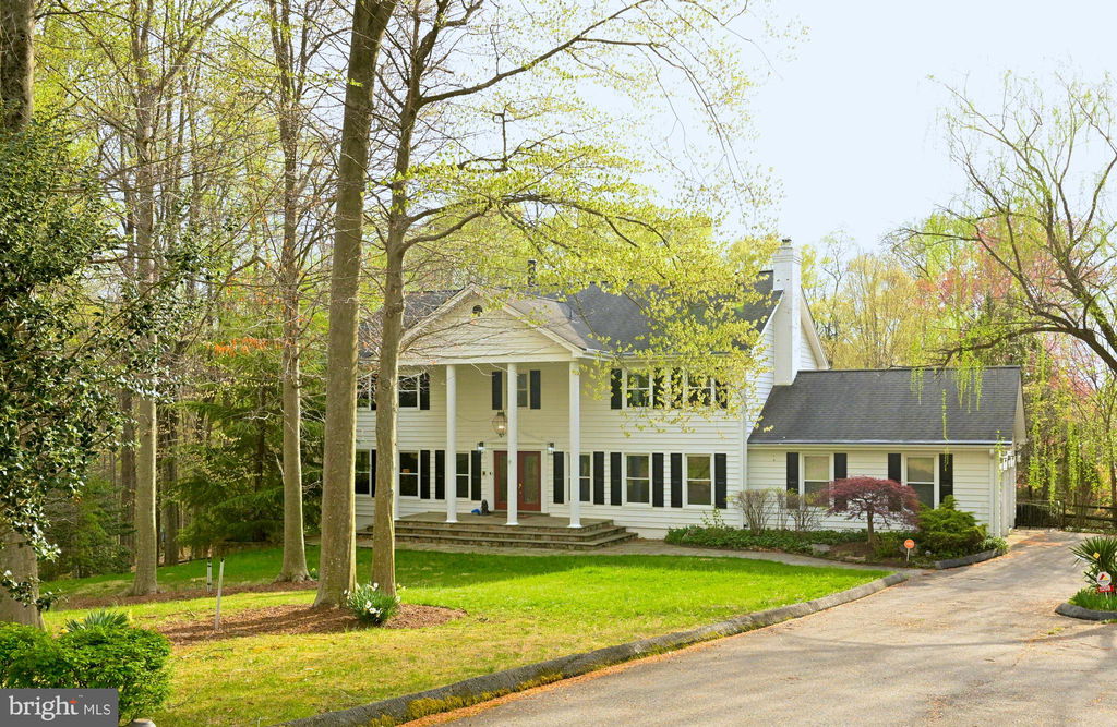 Media Image 1