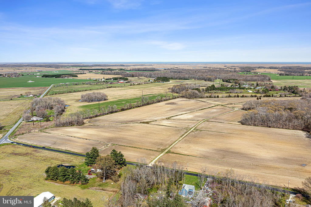 Media Image 1