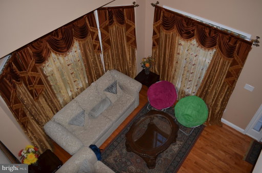 Media Image 3