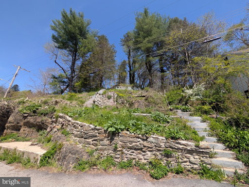 Media Image 2