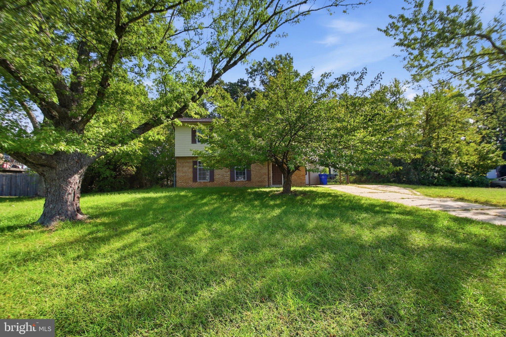 Image Unavailable