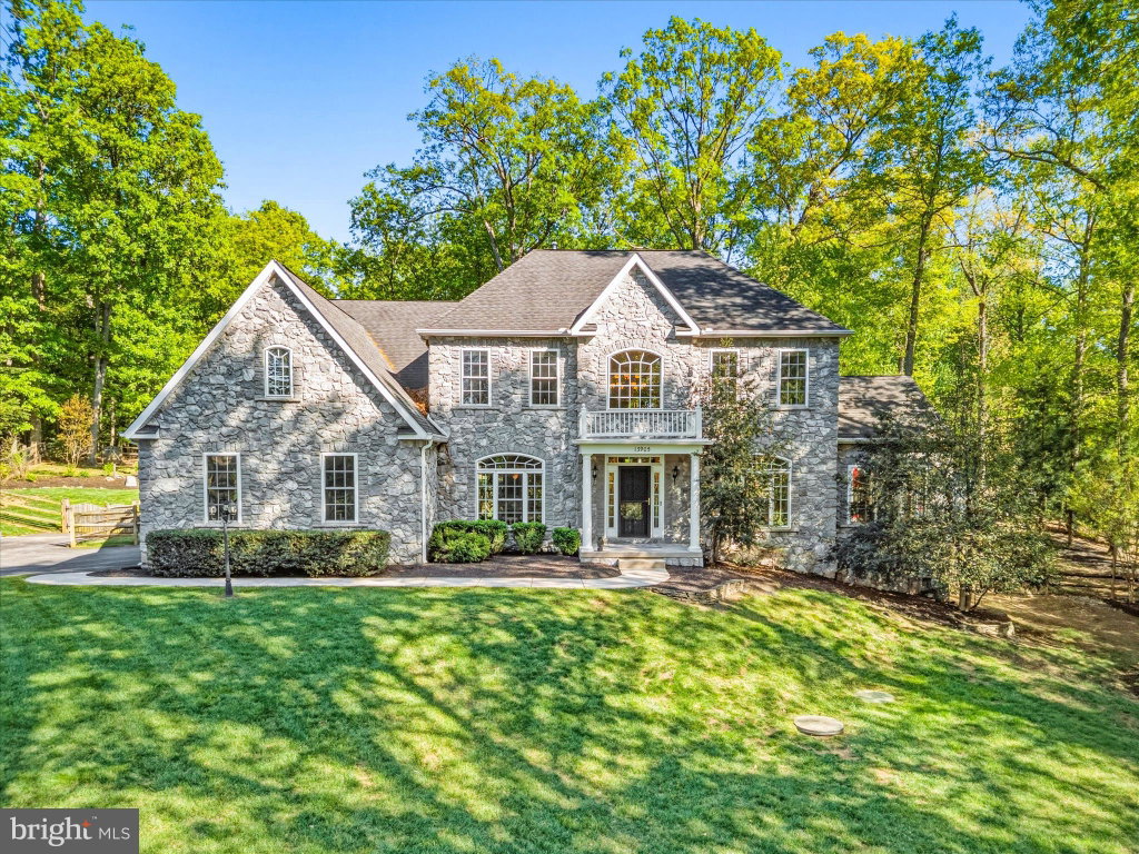 Media Image 1