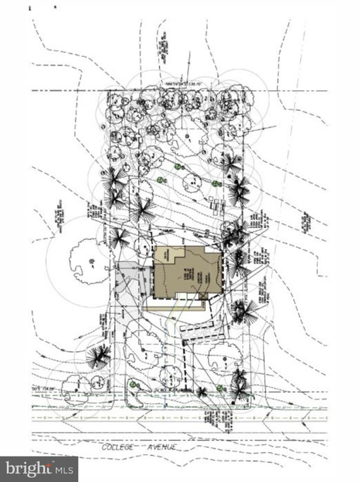 Media Image 3