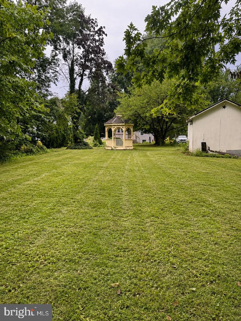 Media Image 1