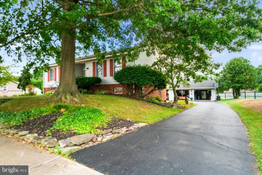 Media Image 2