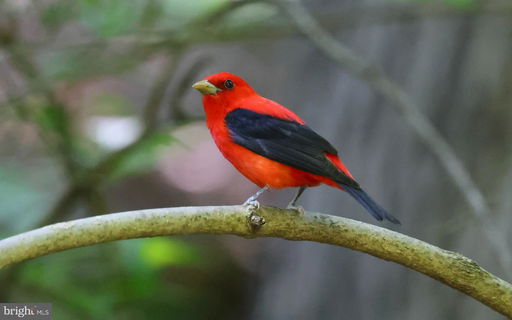 Media Image 3