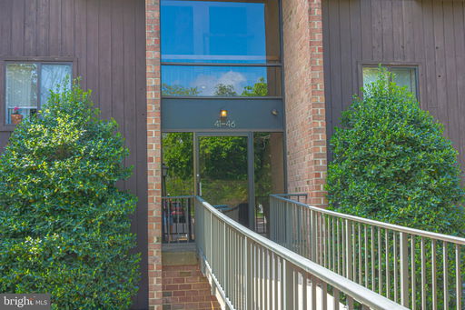 Media Image 3