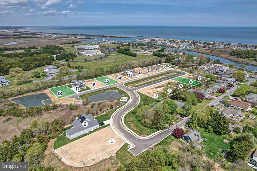 Media Image 3