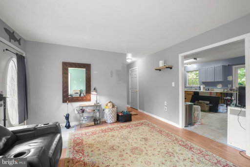 Media Image 3