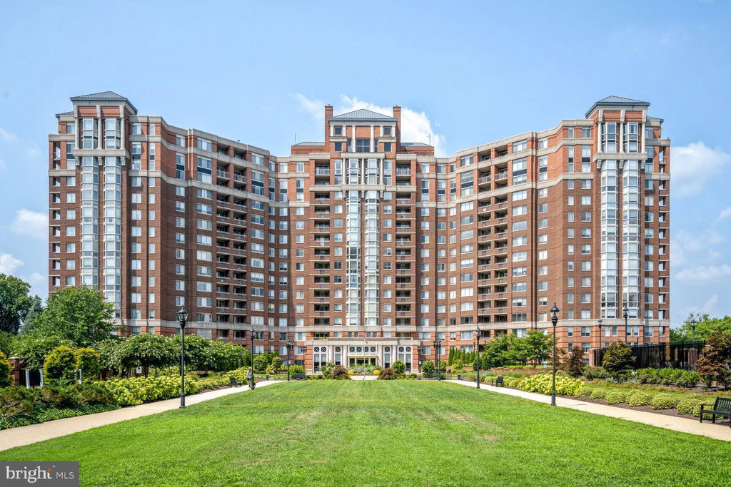 Media Image 1