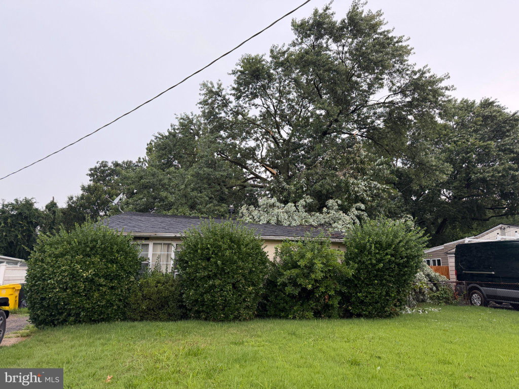 Media Image 1