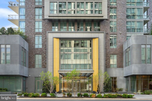 Media Image 2