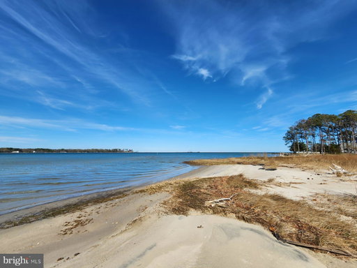 Media Image 3