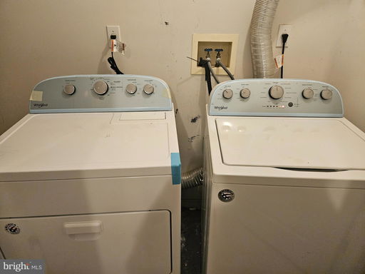Media Image 3