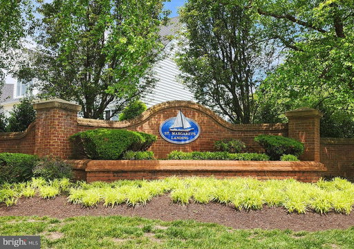 Media Image 2