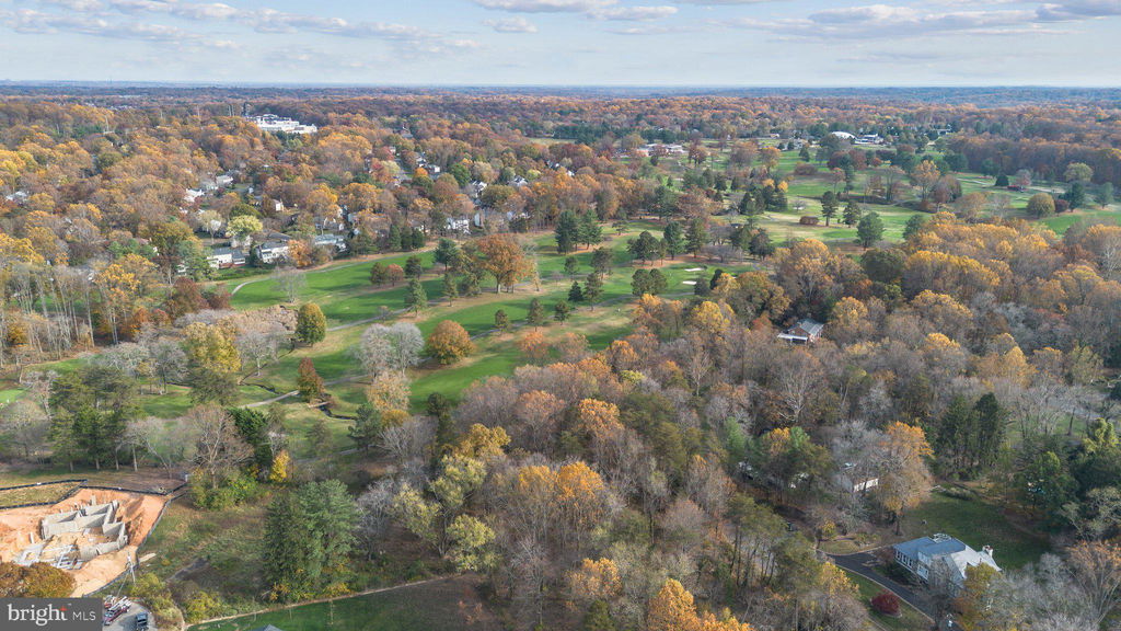 Media Image 1