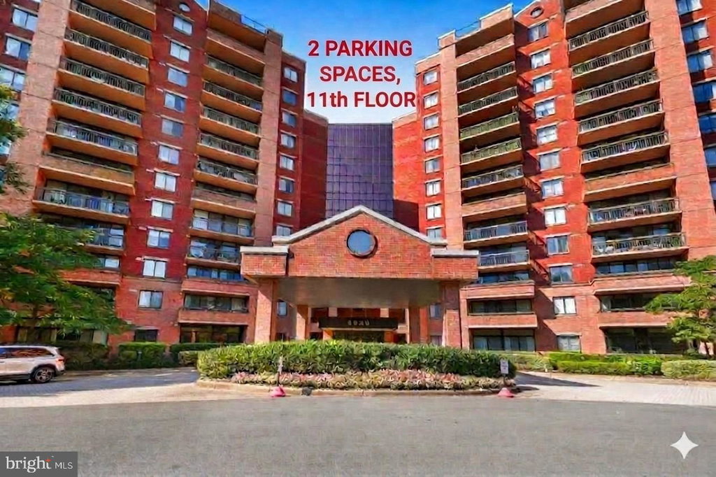 Media Image 1
