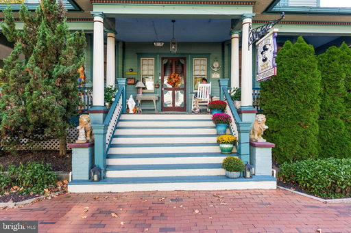 Media Image 3
