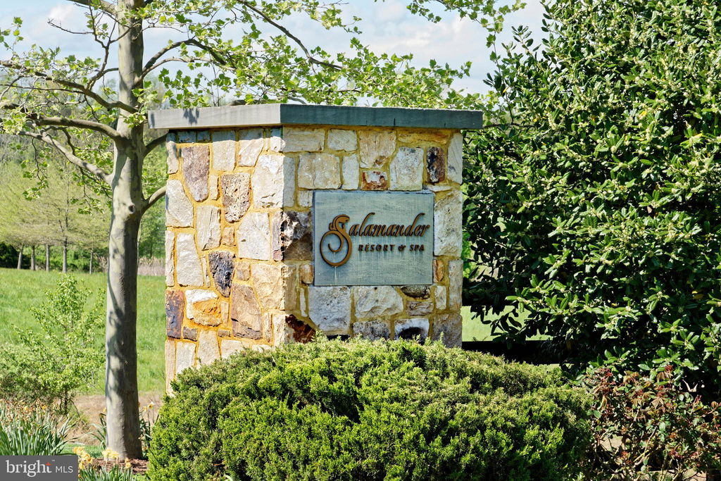 Media Image 1