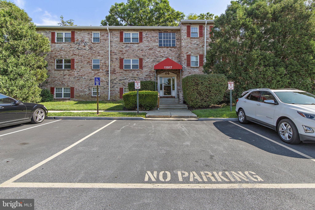Media Image 1