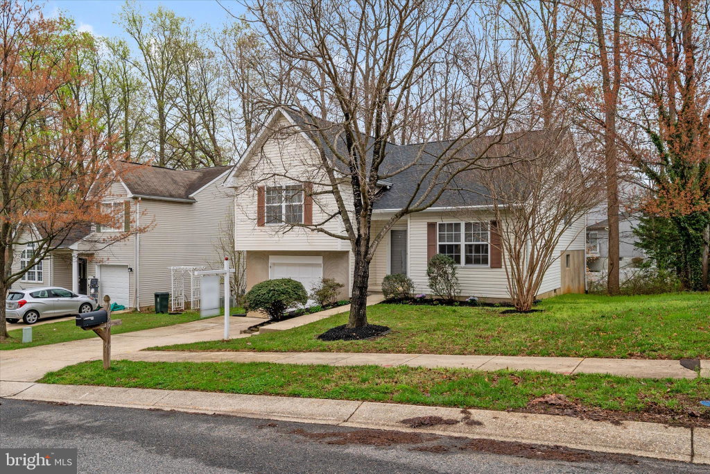 Media Image 1
