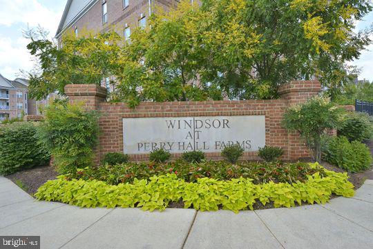Media Image 1