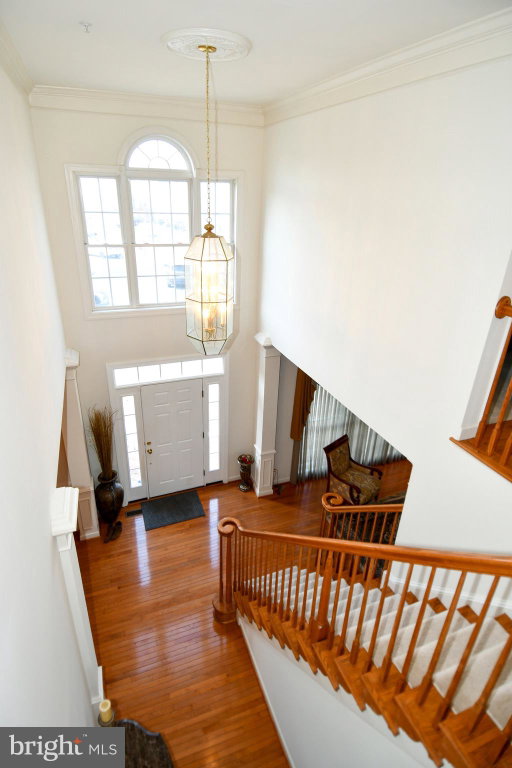 Media Image 3