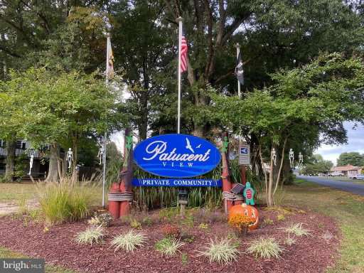 Media Image 2