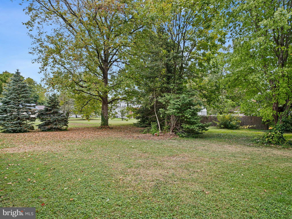 Media Image 1