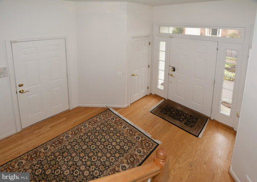 Media Image 3