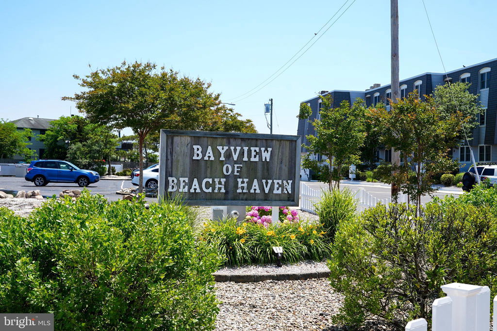 Media Image 1