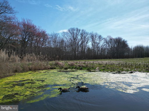 Media Image 3