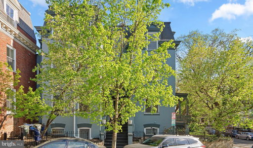 Media Image 3