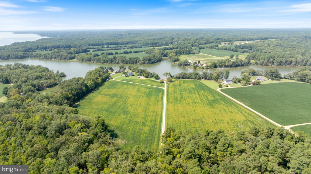 Media Image 1