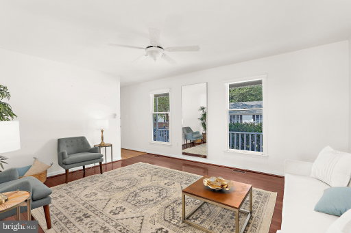 Media Image 3