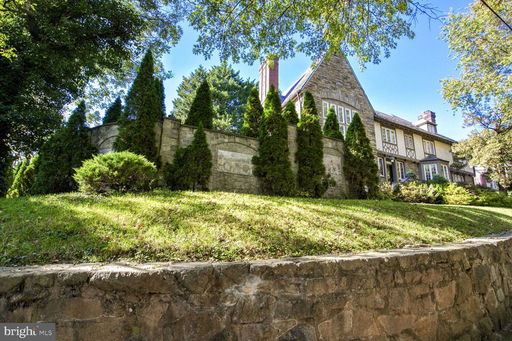 Media Image 2