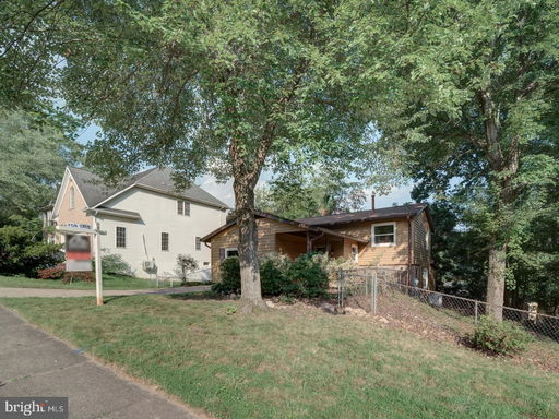 Media Image 3