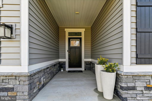 Media Image 3